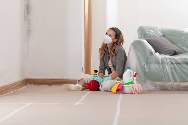 Reliable Mold Testing contractor in Kent City, MI by WQB Mold Removal